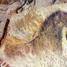  Foto: Caverna de Lauscaux na França